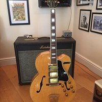 JW'S GUITARS AND AMPS WEB LINK